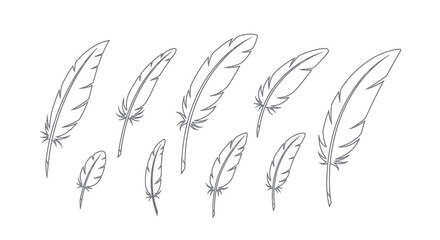 Collection of feather line art illustrations © Mangnu