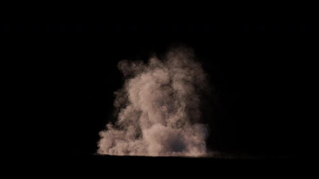 Dust eXplosion, Bulding Colapse