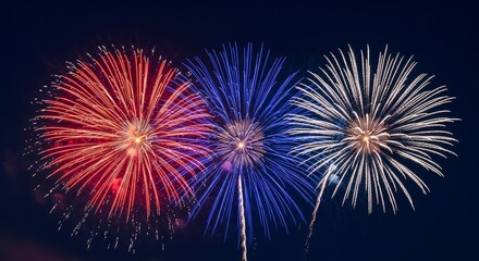 Fototapeta premium Vibrant fireworks display in red white and blue exploding against a dark night sky with festive sparks