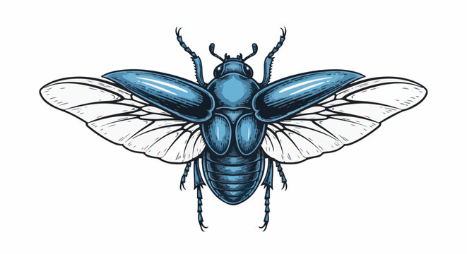 Detailed illustration of a blue beetle with spread wings, featuring segmented body and antennae
