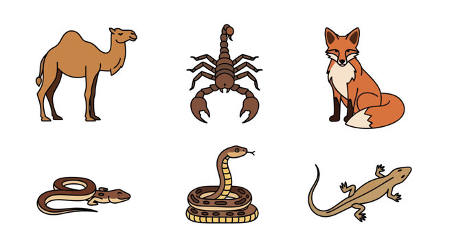 Flat vector illustrations of desert animals including camel, scorpion, and fox