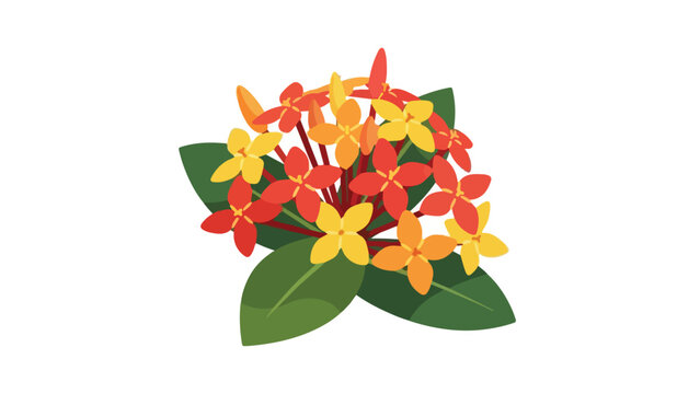 Flat lay illustration of a vibrant ixora flower bouquet with green leaves on a white background.