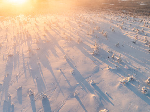 Aerial view of Riisitunturi National Park with snow-covered trees and long shadows during a golden sunset in Tolva, Lappi, Finland.