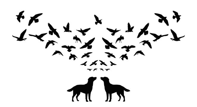 Two dogs look up at a flock of birds in silhouette