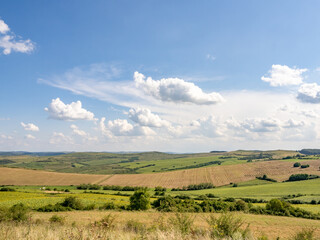Fototapeta premium Golden field under blue sky with clouds summer landscape
