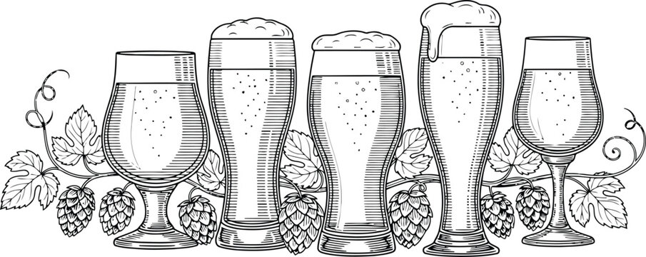 Assorted Beer Glasses with Hops and Vines in a Sketchy Style