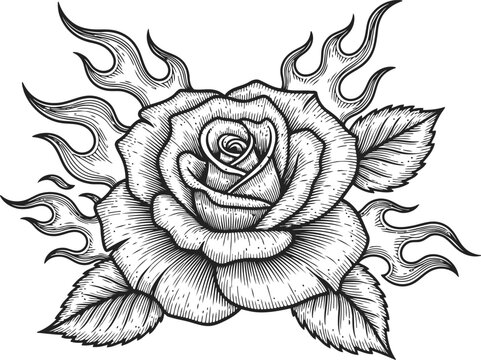 Detailed line drawing of a blooming rose surrounded by stylized flames in a vintage engraving style