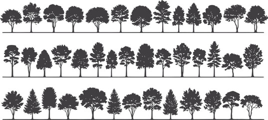 Diverse collection of deciduous and coniferous trees in an intricate engraving style for natural design © Ishtiaq