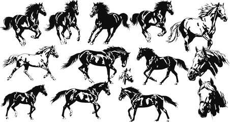 Dynamic horse poses in an antique engraving style with detailed linework for illustrative projects