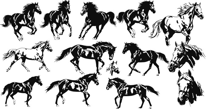 Dynamic horse poses in an antique engraving style with detailed linework for illustrative projects