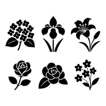 June flower silhouette icon set hydrangea lily rose elegant