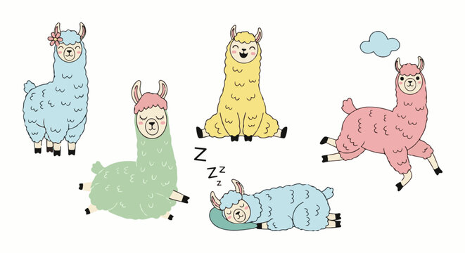 Five cute cartoon llamas in various colors and poses, one with a flower