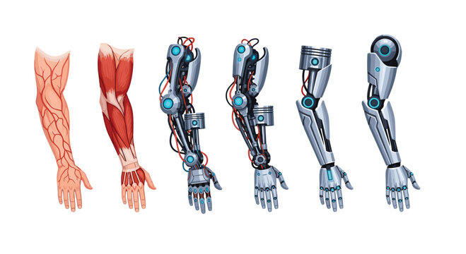 A sequence of six anatomical and mechanical arms displays the evolution from biological muscle across a clean white canvas with vibrant blue neon accents.