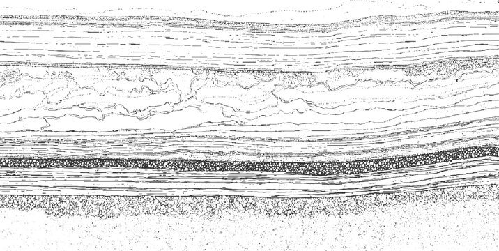 Detailed black and white line of geological strata showing distinct layers of sediment and rock formations