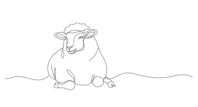 Sheep continuous line drawing, minimalist farm animal art, cute sheep illustration