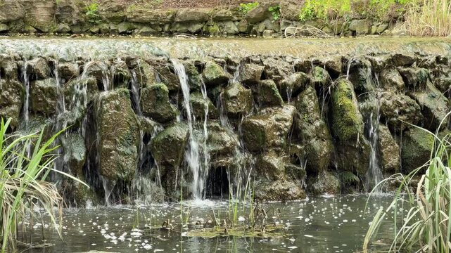 Water spills gracefully over a wall of mossy rocks into a calm pool below. The gentle flow feels soothing and peaceful in the green garden. This scene creates a sense of total relaxation.