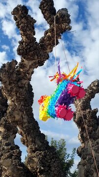 A birthday pi&ntilde;ata. A pi&ntilde;ata hanging from a tree. A candy pi&ntilde;ata is a fun party game for kids. Pimata for sweets.