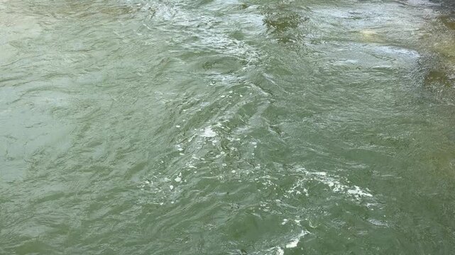 Green river water churns and creates white foam as it flows quickly. The moving surface feels powerful and slightly mysterious. A deep current surges through the natural outdoor environment.