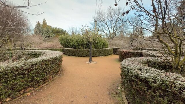 A beautifully crafted iron tree stands in the center of a quiet park path. The frosted hedges and soft morning light create a peaceful and magical feeling for a morning walk.