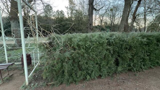 A lonely wooden bench sits inside a decorative white trellis frame along a quiet path. The surrounding trees and frost-covered ground create a peaceful, melancholic morning scene in the park.