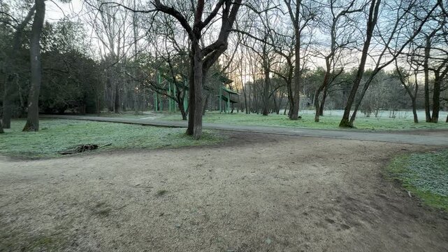 Intersecting trails lead through a quiet, misty forest at dawn. The frost-covered grass and bare trees create a crisp, refreshing atmosphere that feels peaceful and full of morning solitude.