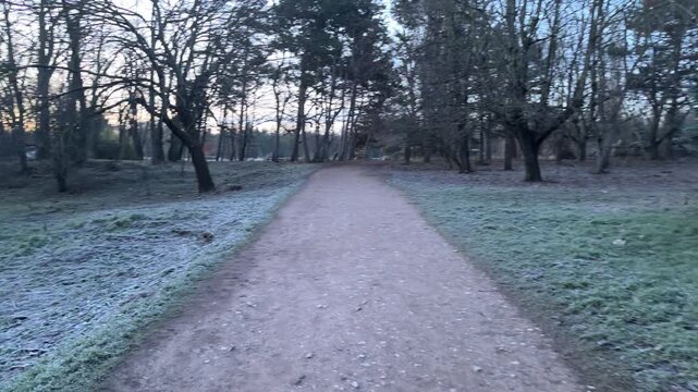 A wide walking trail cuts through grass covered in white morning frost. Tall, bare trees line the path under a soft dawn sky. The crisp air and quiet woods create a peaceful, lonely feeling.