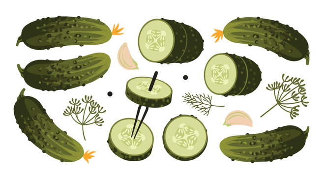 A detailed illustration of crunchy pickles with yellow flowers and black peppercorns is displayed on a white background with soft overhead lighting.