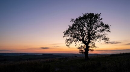 Fototapeta premium Silhouette of a tree in silent twilight, solitary landscape scene, fading dusk sky, calm horizon, poetic natural mood, minimal dramatic composition, soft natural or studio light, realistic detail,