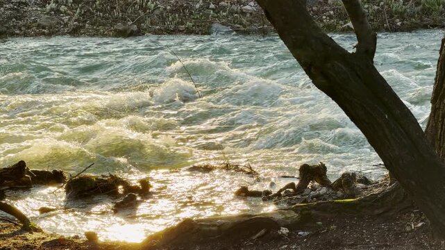 A powerful river rushes forward with white foam and sparkling waves. This dramatic scene feels wild and energetic as the sun glows on the moving water. The dark tree creates a strong, calm frame.