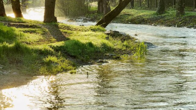 Bright morning light sparkles on the fast-moving water of a winding river. This tranquil scene feels refreshing and full of hope as it illuminates the lush grass. The environment is peaceful and calm.