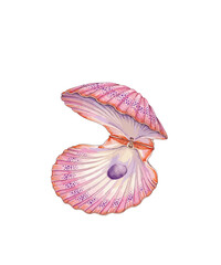 Elegant pink seashell with purple pearl, open scallop shell illustration, nautical marine treasure on white background, decorative coastal element © Dreamy Art