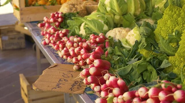 Close up of market radish bunches
