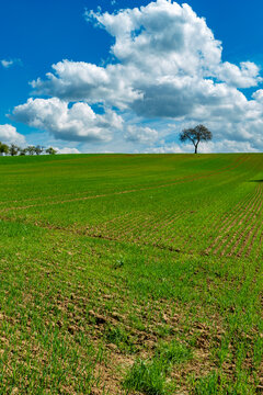 Agrarlandschaft im Fr&uuml;hjahr