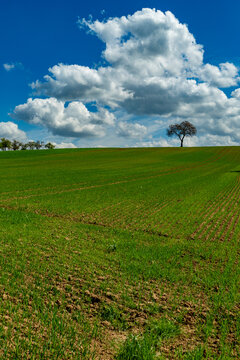 Agrarlandschaft im Fr&uuml;hjahr