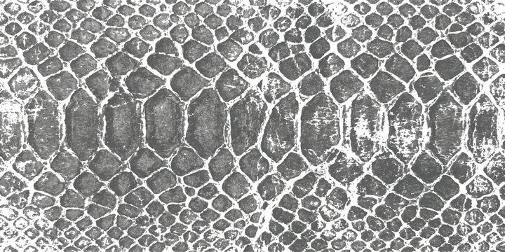 Close-up black and white textured background showcasing a detailed pattern of snake skin scales with a natural, organic arrangement and varying sizes.
