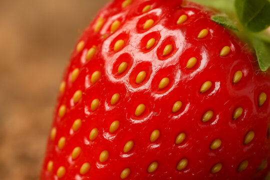 Vibrant red strawberry in extreme macro detail, revealing the textured skin and numerous golden achenes with a hint of green leaf.