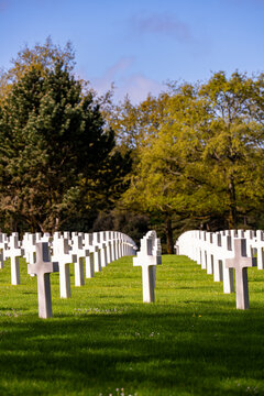 Alignement de croix latines en marbre blanc dans un cimeti&egrave;re militaire verdoyant sous un ciel bleu clair, rendant hommage aux soldats tomb&eacute;s.