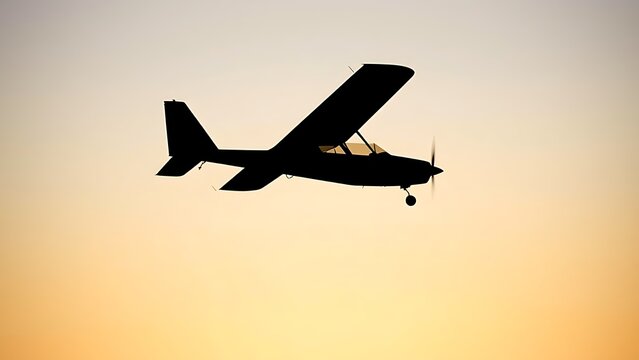 Minimalist silhouette of a monoplane with a single wing against a gradient sky.
