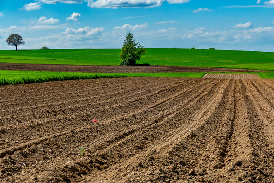 Ackerbau im Fr&uuml;hjahr