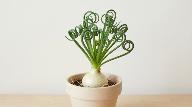 Green plant with curly stems growing from white bulb, fresh botanical growth concept with clean minimal styling and organic form, realistic detail, no logos