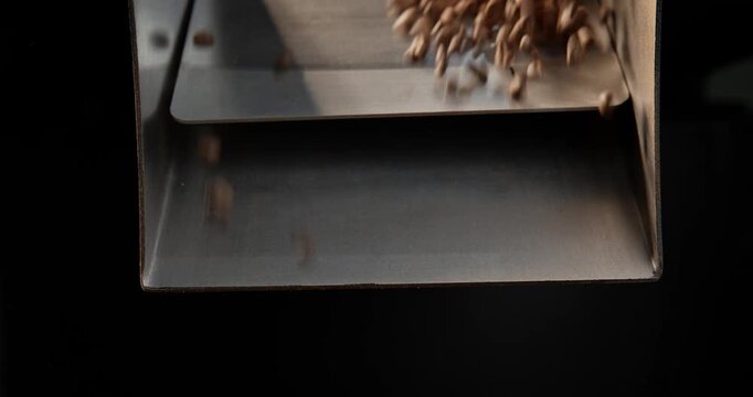 Slow motion coffee beans pouring from industrial roaster drum into industrial hopper, dark light.