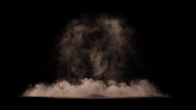 Dust eXplosion, Bulding Colapse