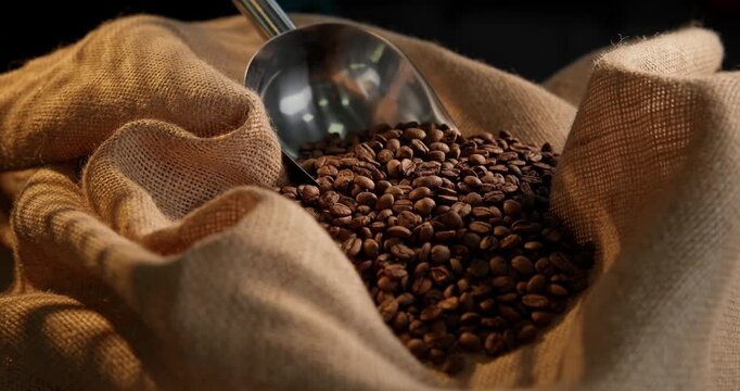 Close up tracking shot of coffee beans being scooped from burlap sack on rustic tabletop with metal scoop.