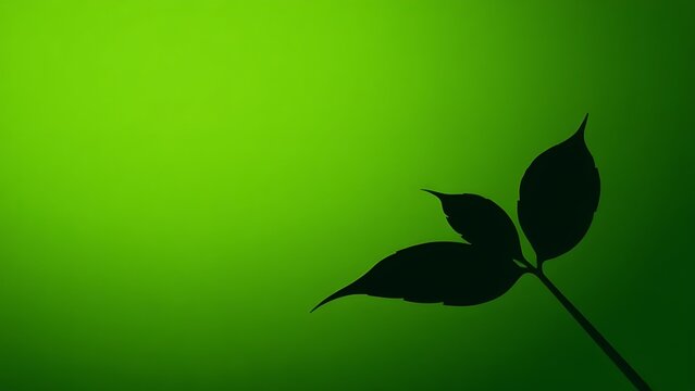 Silhouette of a kratom leaf against a smooth green gradient background.