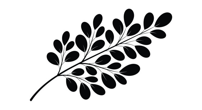 Black silhouette of a leafy branch with many small oval leaves on a white background, a simple vector graphic illustration design element.