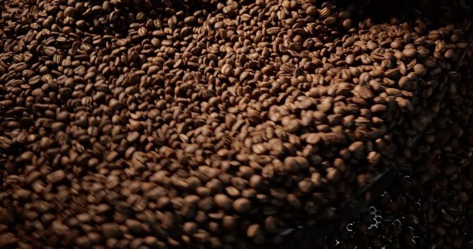 Roasted coffee beans being stirred inside industrial roaster drum.