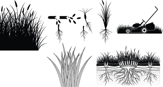 Black silhouette vector icon set of grass growth lawn care maintenance roots seeds and lawn mower elements,