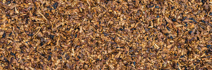 Fototapeta premium Dried brown tobacco leaves scattered on a flat surface in a natural setting
