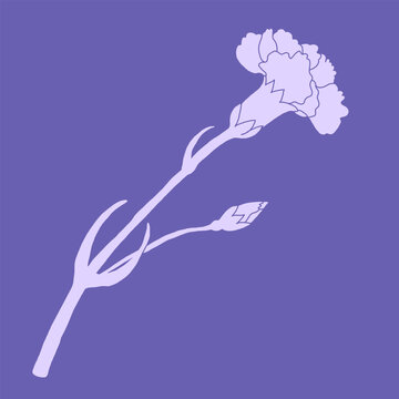 Minimal yet expressive carnation illustration collection featuring hand-drawn floral sketches with a modern botanical touch. The set captures the beauty of carnations through clean vector lines and su