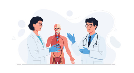 Fototapeta premium Doctors Discussing Human Anatomy Model, Medical Education and Healthcare Concept